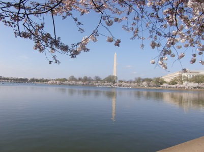Washington D.C.,USA