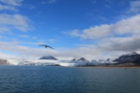 Svalbard Arctic